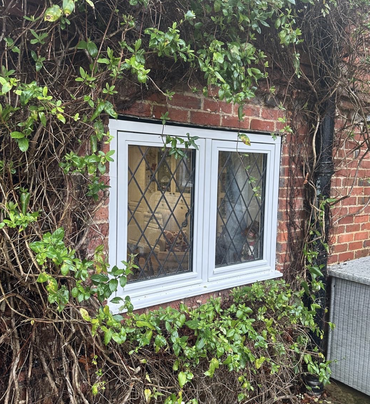 timber windows surrey